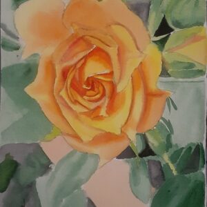 Yellow Rose